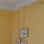 Forster's Nest