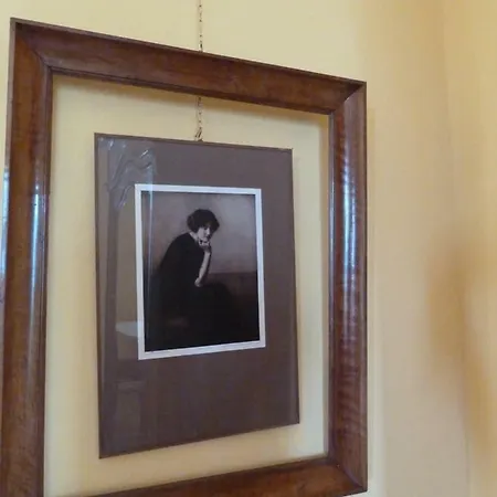 Forster's Nest 卡尼洛瑞维拉