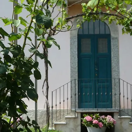 公寓 Forster's Nest