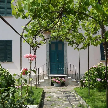 Forster's Nest 卡尼洛瑞维拉