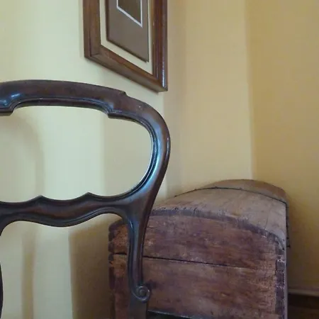 公寓 Forster's Nest 卡尼洛瑞维拉