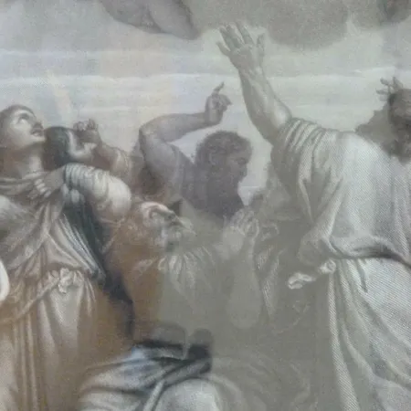 Forster's Nest 卡尼洛瑞维拉