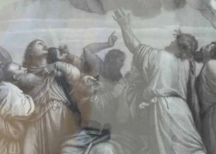 Forster's Nest Каннеро-Ривьера